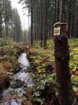 Oberlausitzer_Bergweg_02