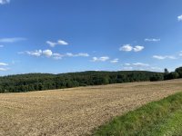 Schaecherbach_Sommer_00025