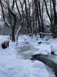 Wandern &raquo; Schächerbachtour bei Homberg (Ohm) im Winter