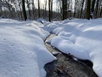 Schaecherbach_Winter_00004