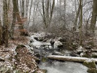 Schaecherbach_Winter_00009