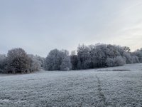 Schaecherbach_Winter_00010