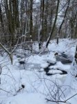 Schaecherbach_Winter_00013