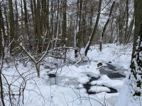 Schaecherbach_Winter_00014