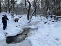 Schaecherbach_Winter_00015