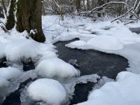 Schaecherbach_Winter_00017