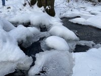 Schaecherbach_Winter_00018